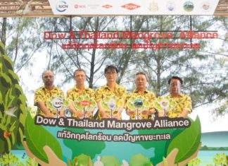 Dow & Thailand Mangrove Alliance ร่วมต้านโลกร้อน ลดขยะทะเล