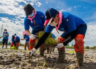 ตามรอยพ่อฯปีที่8 สร้างพื้นที่ต้นแบบ โคก หนอง นาขาวัง ที่ ฉะเชิงเทรา