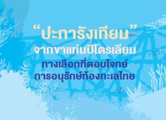 ปะการังเทียมจากขาแท่นปิโตรเลียม ทางเลือกที่ตอบโจทย์การอนุรักษ์ท้องทะเลไทย