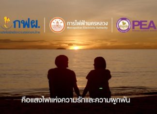 3 การไฟฟ้า เปิดตัวโฆษณาชุด “แสงสว่างแห่งความรัก” สร้างความเข้าใจภารกิจที่แตกต่าง
