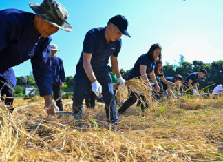กัลฟ์ จัดกิจกรรม “สืบสานวิถีชาวนาไทย ร่วมใจลงแขกเกี่ยวข้าว”