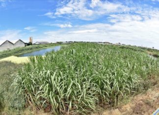 กกพ.นัดถก 3 การไฟฟ้าก่อนเปิดไทม์ไลน์ประมูลโรงไฟฟ้าชุมชน