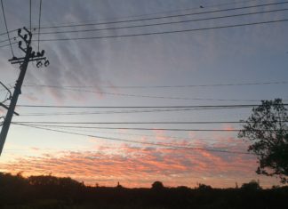 คาดรับซื้อไฟโรงไฟฟ้าขยายผล 100 เมกะวัตต์ได้เร็วสุดหลัง มี.ค.64