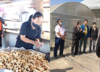 พลังงานลงพื้นที่เชียงใหม่ ช่วยชุมชนลดต้นทุนพลังงานผลิตแคบหมูโบราณ และแปรรูปปลาหมอไทย