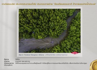 สวยน่าชม! เผยภาพชนะประกวด “ป่าชายเลนปากน้ำประแส” ป่าน่าเที่ยวจังหวัดระยอง
