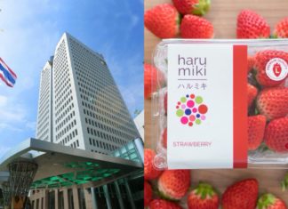 ปตท.เตรียมเปิดร้าน“Harumiki House”แห่งแรกที่สำนักงานใหญ่ กลางปี 64 นี้