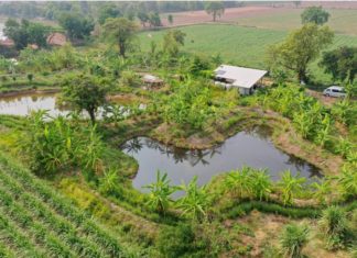 “ตามรอยพ่อฯ” ก้าวสู่ปีที่ 9 ตอกย้ำบทบาท “สื่อพอดี”