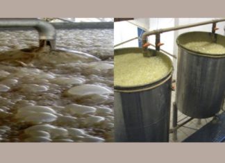 Dow เผยนวัตกรรมเพิ่มประสิทธิภาพการผลิตไบโอเอทานอล ช่วยผู้ประกอบการลดต้นทุน