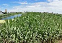 กกพ.ให้เวลา 151 รายตกเกณฑ์โรงไฟฟ้าชุมชน ยื่นอุทธรณ์ใน 1 เดือนหากพบผิดพลาดไม่มากพร้อมประกาศชื่อเพิ่มให้