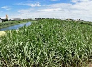 กกพ.ให้เวลา 151 รายตกเกณฑ์โรงไฟฟ้าชุมชน ยื่นอุทธรณ์ใน 1 เดือนหากพบผิดพลาดไม่มากพร้อมประกาศชื่อเพิ่มให้