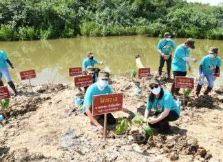 กฟผ.Kick off ปลูกป่าล้านไร่เริ่มพื้นที่จ.ชุมพร
