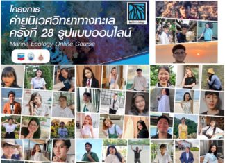 เชฟรอนเดินหน้า ค่ายนิเวศวิทยาทางทะเลภาคฤดูร้อนปีที่ 28 แบบออนไลน์