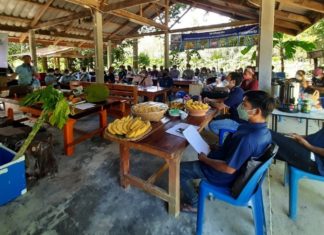 IRPC ให้ความรู้ “ปุ๋ยหมีขาว” ธาตุอาหารเสริมสำหรับพืช แก่กลุ่มเกษตรกรปลูกกล้วยหอมทองและผลไม้ จ.พัทลุง และ จ.ตรัง