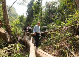 อมตะ บี.กริม เพาเวอร์ ชวนคนยุค Metaverse เดินป่าเขาใหญ่ สูดโอโซน ฉลองความสัมพันธ์ 160 ปี ไทย -เยอรมนี