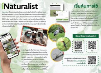 Dow Thailand Mangrove Alliance ชวนคนไทยร่วมชาเลนจ์ แข่งสำรวจธรรมชาติในเมืองกับประเทศต่าง ๆ ผ่านแอป iNaturalist