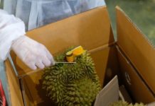 จังหวัดจันทบุรี จับมือ อัลฟ่า คอม  นำร่องคัดกรองทุเรียนเตรียมส่งออกด้วย “ห้องปฏิบัติการเคลื่อนที่ตรวจหาเชื้อโควิด-19 โดยเทคนิค CRISPR”