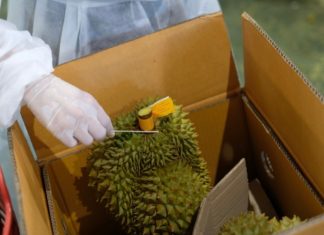 จังหวัดจันทบุรี จับมือ อัลฟ่า คอม นำร่องคัดกรองทุเรียนเตรียมส่งออกด้วย “ห้องปฏิบัติการเคลื่อนที่ตรวจหาเชื้อโควิด-19 โดยเทคนิค CRISPR”