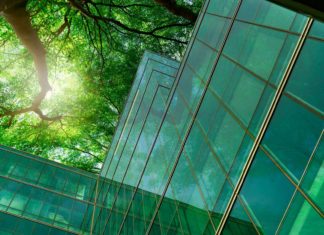 กฟผ. ชูธง โซลาร์-ปลูกป่า-EV ช่วยลดภาวะโลกรวน เดินหน้าสู่เป้าหมาย Carbon Neutrality