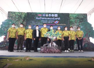 Dow ร่วมกรมทะเล เดินหน้าอนุรักษ์ฟื้นฟูป่าชายเลน คาด 5 ปี เพิ่ม 3 แสนไร่