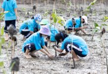 กฟผ. ดึงเยาวชนคนรุ่นใหม่นั่งรถไฟ “ยกขบวน ชวนปลูกป่า” ปลูกจิตสำนึกรักษ์สิ่งแวดล้อมที่ชุมพร
