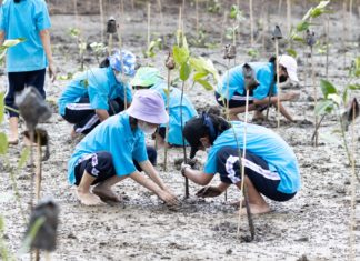 กฟผ. ดึงเยาวชนคนรุ่นใหม่นั่งรถไฟ “ยกขบวน ชวนปลูกป่า” ปลูกจิตสำนึกรักษ์สิ่งแวดล้อมที่ชุมพร