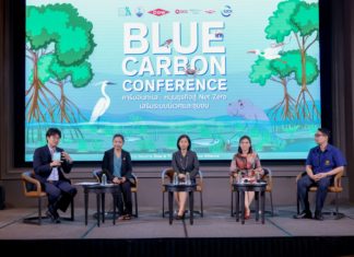 เอกชนหนุนเดินหน้า Blue Carbon เสริมระบบนิเวศและชุมชน ผลักดันธุรกิจและประเทศสู่เป้าหมายความเป็นกลางทางคาร์บอนและ Net Zero