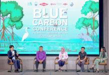 นักสิ่งแวดล้อมชวนถอดบทเรียนความสำเร็จฟื้นฟูพื้นที่ป่าชายเลน ชี้ ชุมชนคือพลังสำคัญ