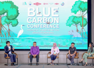 นักสิ่งแวดล้อมชวนถอดบทเรียนความสำเร็จฟื้นฟูพื้นที่ป่าชายเลน ชี้ ชุมชนคือพลังสำคัญ