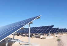 ACE และ WHAUP ลุย Solar Farm ขายไฟฟ้าให้รัฐ