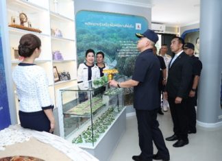 ฐานสนับสนุนการพัฒนาปิโตรเลียม ปตท.สผ. จับมือทัพเรือภาคที่ 2 ปรับปรุงศูนย์อนุรักษ์พันธุ์เต่าทะเล และจัดทำนิทรรศการอนุรักษ์พันธุ์เต่าทะเล