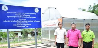 กระทรวงพลังงานช่วย วิสาหกิจชุมชนเลี้ยงจิ้งหรีด จ.ขอนแก่น ลดรายจ่ายไฟฟ้าด้วยระบบโซลาร์เซลล์