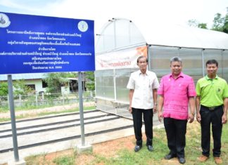 กระทรวงพลังงานช่วย วิสาหกิจชุมชนเลี้ยงจิ้งหรีด จ.ขอนแก่น ลดรายจ่ายไฟฟ้าด้วยระบบโซลาร์เซลล์