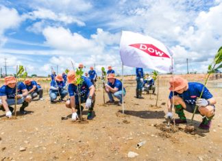 Dow ผนึก กรมทะเล ปลูกป่าชายเลนสร้างคาร์บอนเครดิต พร้อมดูแล 10 ปี