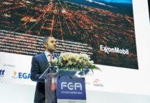 Innovation, Collaboration and Expertise : Irtiza Sayyed on Asia’s low carbon energy potential