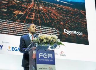 Innovation, Collaboration and Expertise : Irtiza Sayyed on Asia’s low carbon energy potential