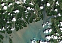 “Dow” สนับสนุนงบประมาณให้กรมทะเลฯ พัฒนาระบบติดตามพื้นที่ป่าชายเลนจากภาพถ่ายดาวเทียม