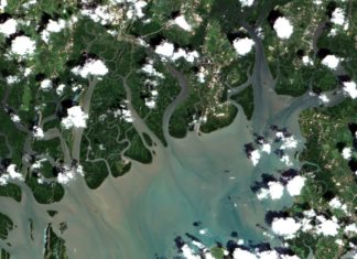 “Dow” สนับสนุนงบประมาณให้กรมทะเลฯ พัฒนาระบบติดตามพื้นที่ป่าชายเลนจากภาพถ่ายดาวเทียม