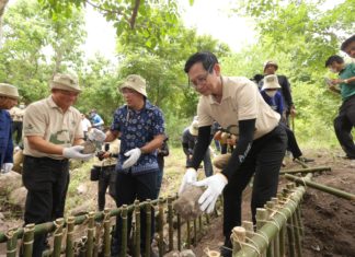 ปตท. Kick-off จุดพลังชีวิต พลิกผืนป่า 1 ต้นกล้า สู่ป่าล้านที่ 2