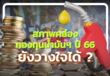 สภาพคล่องกองทุนน้ำมันฯ ปี 66 ยังวางใจได้?