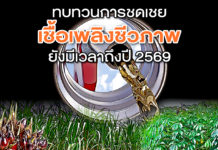 ทบทวนการชดเชยเชื้อเพลิงชีวภาพ ยังมีเวลาถึงปี 2569