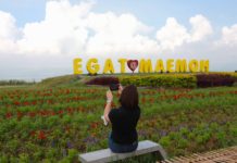 จังหวัดลำปาง และ กฟผ. พร้อมเปิดบ้านต้อนรับนักท่องเที่ยว 10 – 12 พ.ย. นี้ กับงานเทศกาลท่องเที่ยวแม่เมาะ ครั้งที่ 19