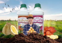 IRPC ต่อยอดพัฒนาปุ๋ยหมีขาว 4 สูตรใหม่หนุนเกษตรกรลดต้นทุน-เพิ่มผลผลิตกว่า 20%