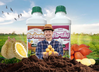 IRPC ต่อยอดพัฒนาปุ๋ยหมีขาว 4 สูตรใหม่หนุนเกษตรกรลดต้นทุน-เพิ่มผลผลิตกว่า 20%