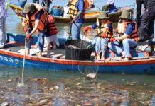 Dow รวมพลังจิตอาสา เก็บขยะป่าชายเลนกว่า 2.7 ตัน กู้วิกฤตขยะทะเล ฟื้นฟูระบบนิเวศอย่างมีส่วนร่วม