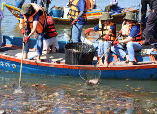 Dow รวมพลังจิตอาสา เก็บขยะป่าชายเลนกว่า 2.7 ตัน กู้วิกฤตขยะทะเล ฟื้นฟูระบบนิเวศอย่างมีส่วนร่วม