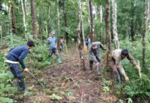 โครงการปลูกป่าล้านไร่ กฟผ. ปลูกจริง ตรวจสอบได้ มุ่งประชาชนได้ประโยชน์