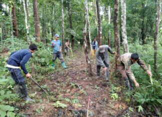 โครงการปลูกป่าล้านไร่ กฟผ. ปลูกจริง ตรวจสอบได้ มุ่งประชาชนได้ประโยชน์