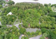 ปตท. จับมือ กรมป่าไม้ พัฒนาสวนเฉลิมพระเกียรติฯ 80 พรรษา ยกระดับเป็นศูนย์เรียนรู้สวนเฉลิมพระเกียรติฯ 80 พรรษา