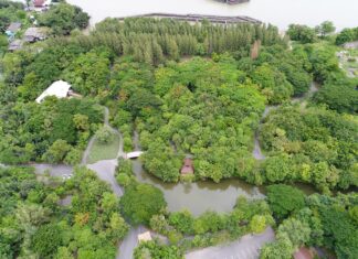 ปตท. จับมือ กรมป่าไม้ พัฒนาสวนเฉลิมพระเกียรติฯ 80 พรรษา ยกระดับเป็นศูนย์เรียนรู้สวนเฉลิมพระเกียรติฯ 80 พรรษา