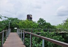 เขียนเล่าข่าว EP.47 คืนป่าให้คนกรุง ได้เรียนรู้ความหลากหลายทางชีวภาพ